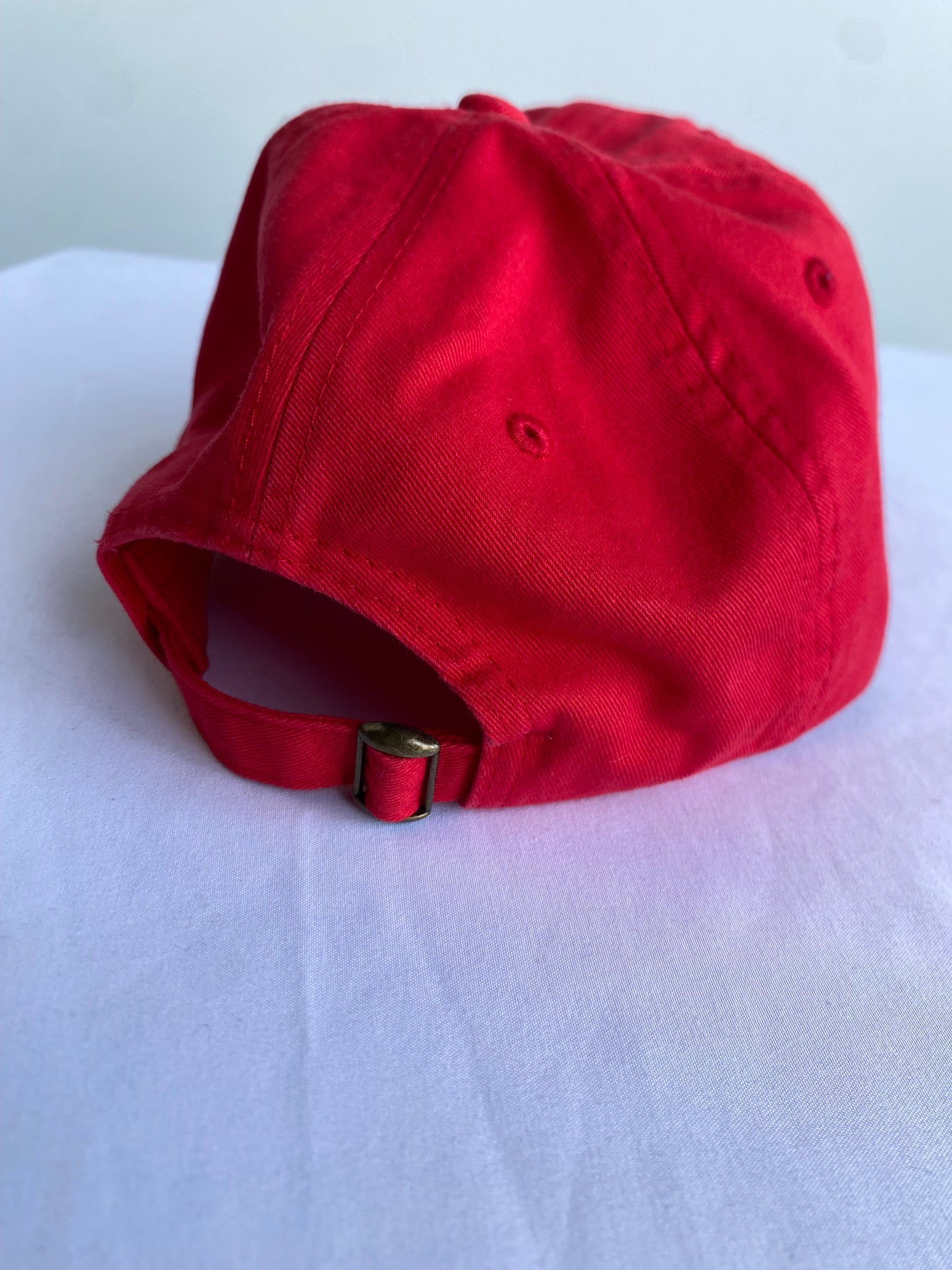 01. Royal SNA Script Embroidered Strapback Dad Hat